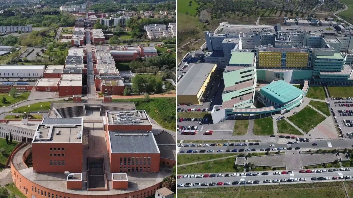 Via libera al nuovo corso interateneo UMG-UniCal in Scienze della Formazione Primaria