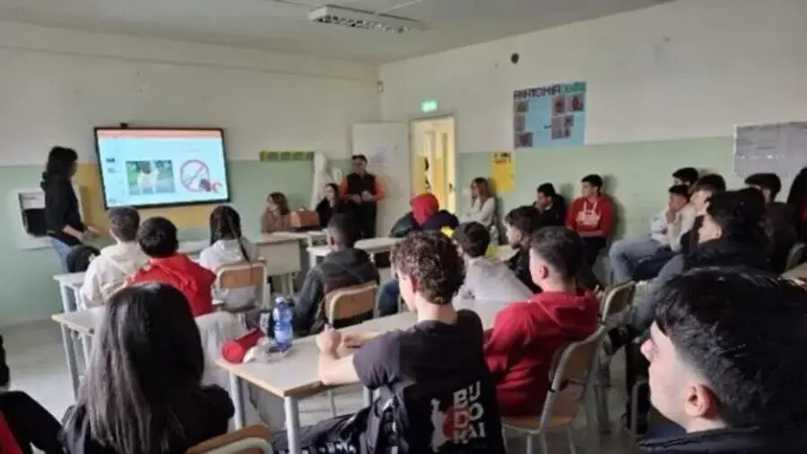 images All’IPS “L.Costanzo” di Lamezia Terme il progetto “AMI....AMO....LI “per sensibilizzare gli alunni al rispetto verso gli animali