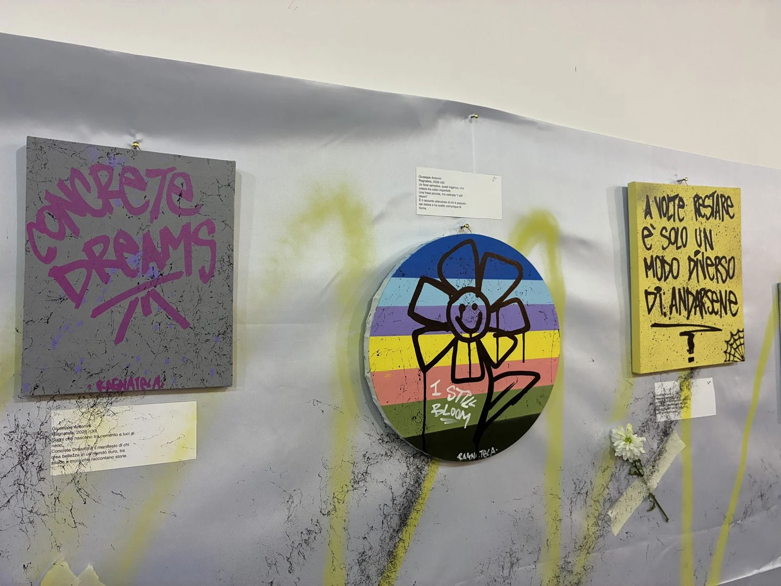 36fb0c41-a944-4131-b9f0-b80ef35f993f_img_7867.webp 36fb0c41-a944-4131-b9f0-b80ef35f993f_img_7867.webp