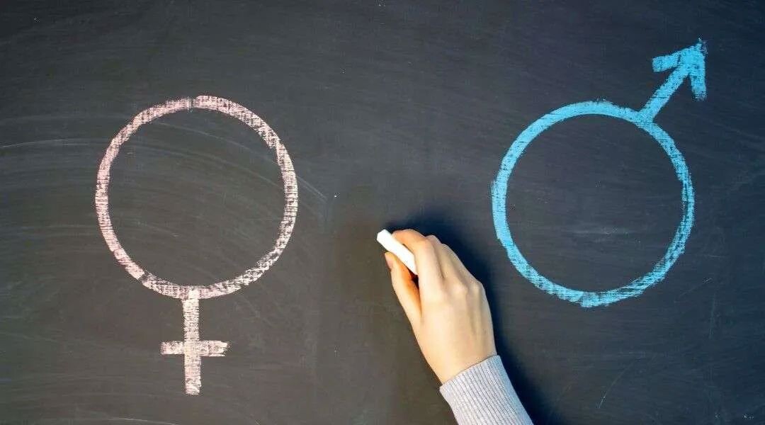 images Catanzaro, il Collettivo Aurora boccia il progetto della Diocesi: "Educazione sessuale sia laica"