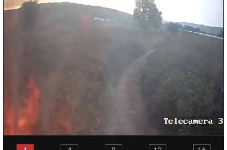 images Amaroni, vasto incendio ha sfiorato l'impianto Sorical e le cabine elettriche