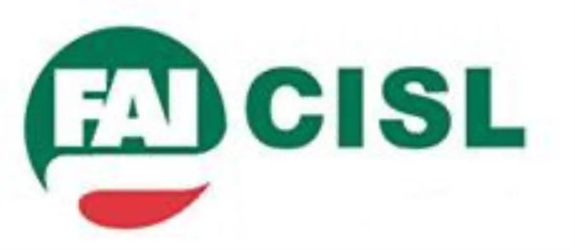 images  Alte temperature, le proposte Fai Cisl Magna Grecia Cz-Kr-Vv per la tutela del lavoro agricolo