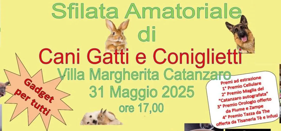 In Villa Margherita a Catanzaro sfilata amatoriale di cani, gatti e coniglietti images In Villa Margherita a Catanzaro sfilata amatoriale di cani, gatti e coniglietti