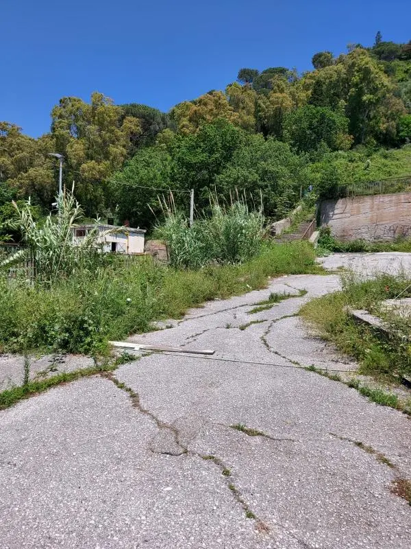 images Degrado in zona Santuario di Sant'Antonio a Lamezia, Natalia (Exit): "Necessaria attenzione tutto l'anno"