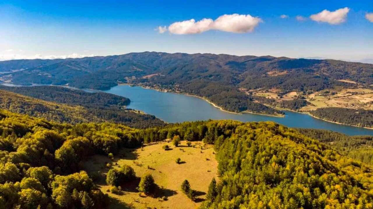 images Tutela dell'ambiente, dalla Regione 3 milioni di euro alle associazioni ambientaliste