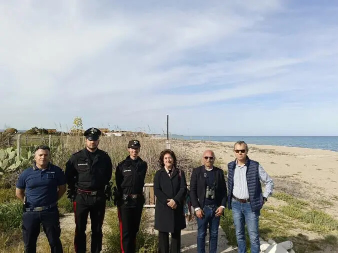 images Crotone, ritrovamento da parte delle forze dell'ordine di un rarissimo "Nido Fratino"
