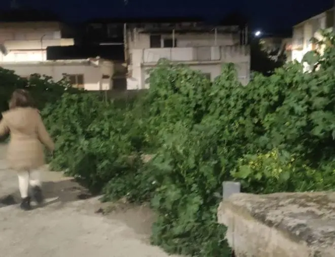 images Degrado e abbandono nel quartiere Santa Maria di Catanzaro: indignati i residenti 