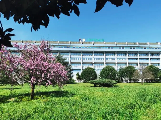 images Lamezia, il Cup dell'ospedale è in fase di riorganizzazione: sarà migliorata l’erogazione del servizio 