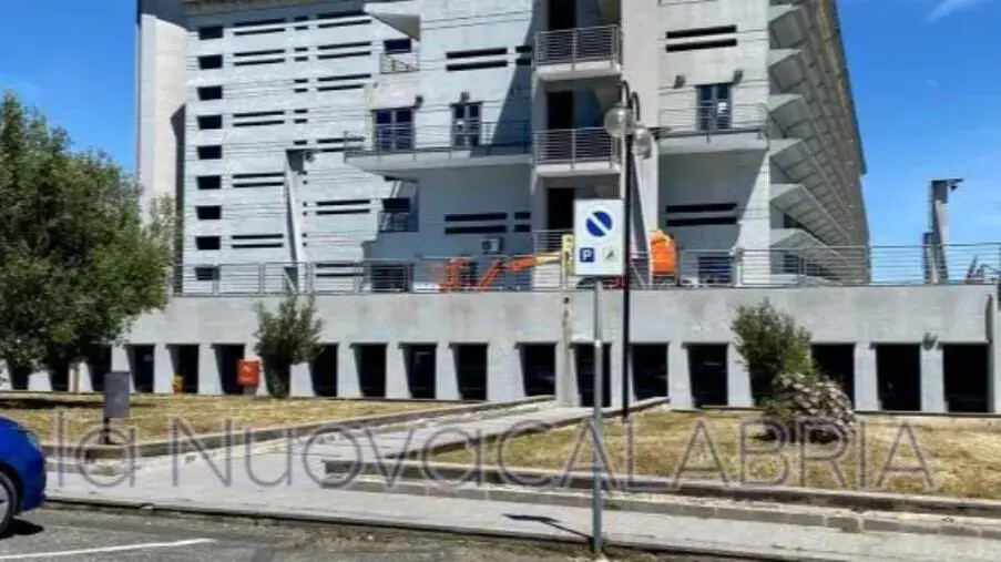 images Sistema bibliotecario di Ateneo all'UMG, al via una serie di appuntamenti su donne, inclusione sociale e teatro