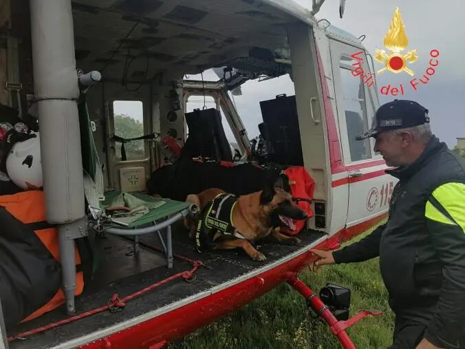 images A Gizzeria l'addestramento congiunto dei Vigili del fuoco per le attività di Search and Rescue