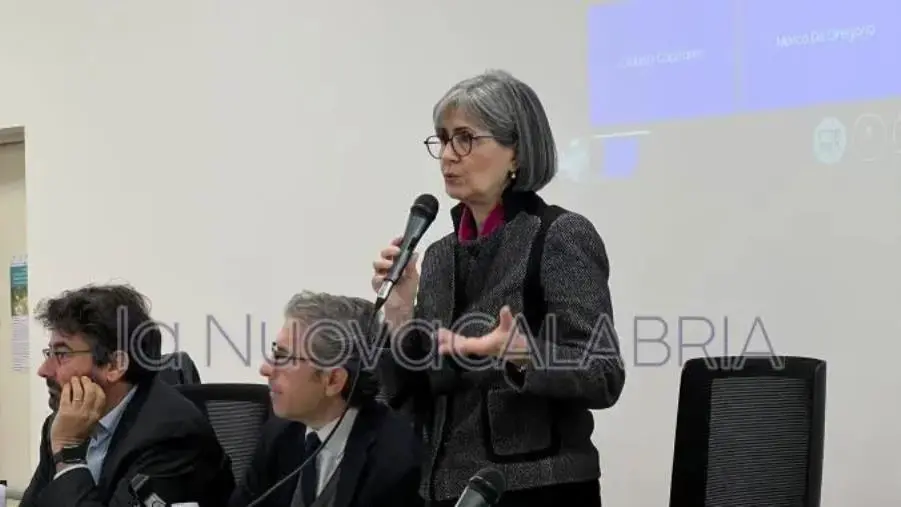 images Alta velocità Salerno-Reggio Calabria, Caracciolo: "Non c'è nessun taglio" 