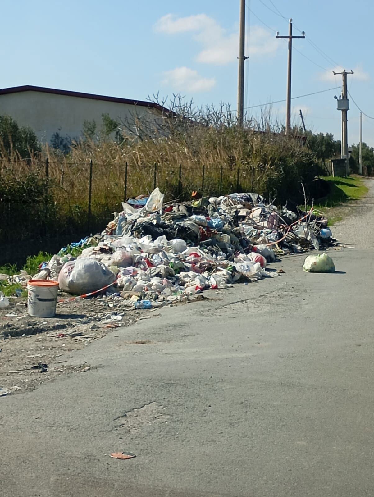 images Catanzaro, Costanzo: "Il degrado in via Guglia è imbarazzante" 