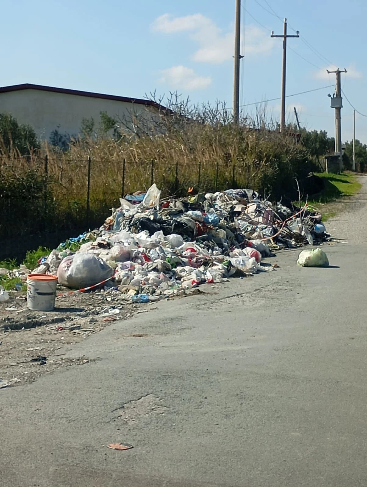 Catanzaro, Costanzo: "Il degrado in via Guglia è imbarazzante" 