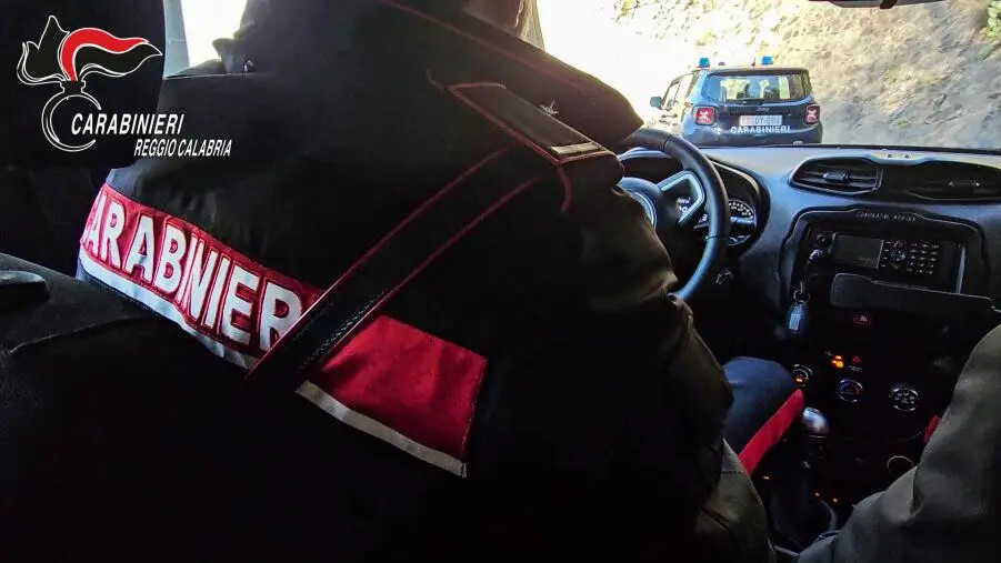 images Furti in una boutique della Locride: due arresti e tre denunce 