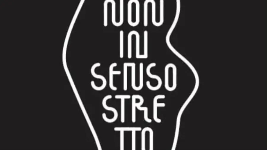 Biennale 2024, a Reggio il talk "Non in senso stretto" images Biennale 2024, a Reggio il talk "Non in senso stretto"