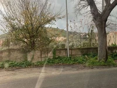 Via degli Angioini a Catanzaro in stato di abbandono, Costanzo (FI): "Da mesi segnalo ma tutto tace"