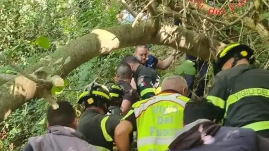 Ritrovato vivo il 92enne disperso a Gizzeria: è sopravvissuto alla notte nei boschi images Ritrovato vivo il 92enne disperso a Gizzeria: è sopravvissuto alla notte nei boschi