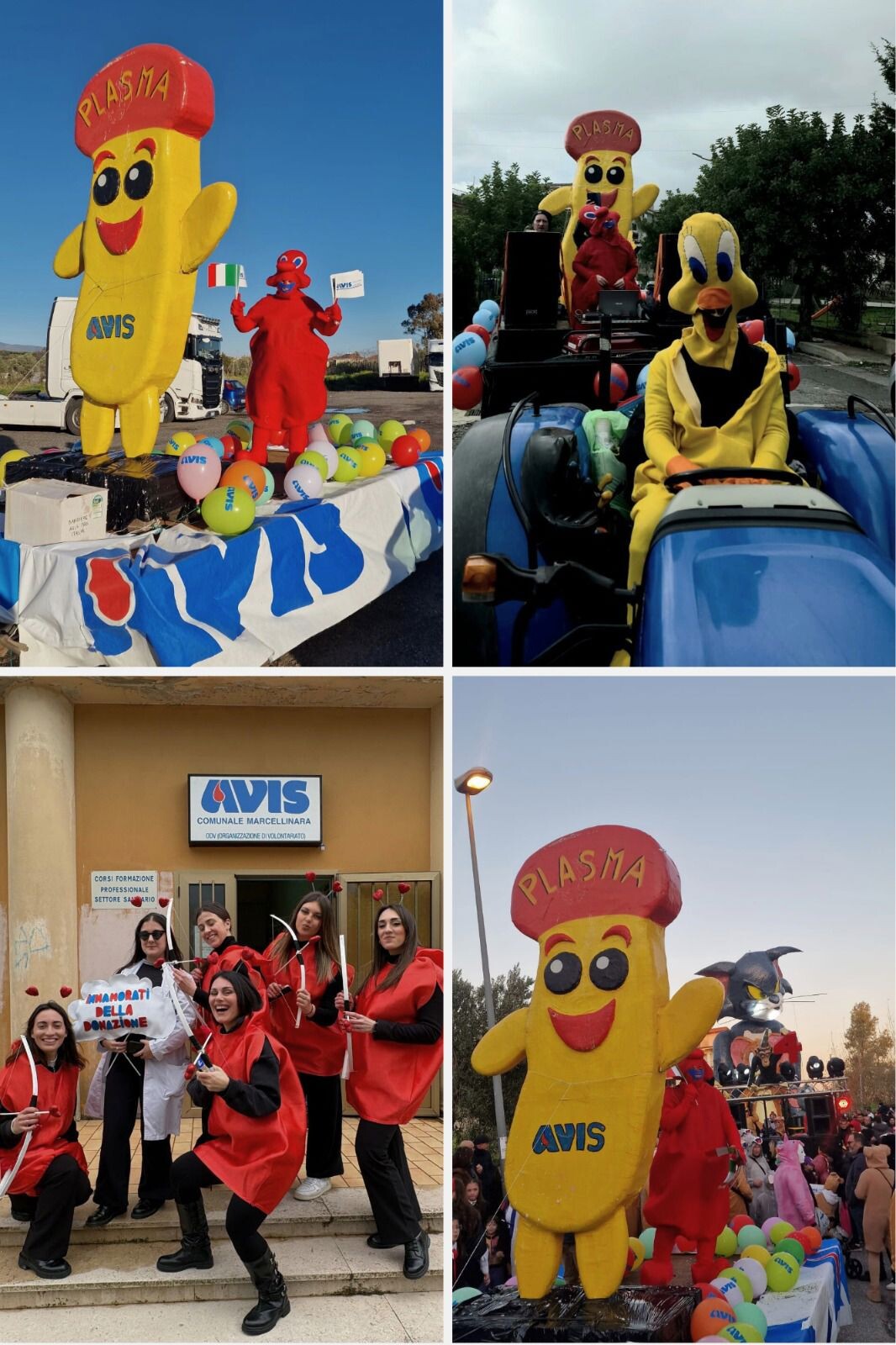 Plasmina unisce Marcellinara e Gizzeria: collaborazione tra le AVIS comunali per la promozione della donazione di plasma images Plasmina unisce Marcellinara e Gizzeria: collaborazione tra le AVIS comunali per la promozione della donazione di plasma