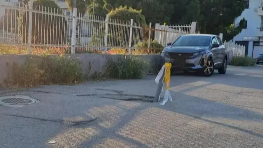 images Alleanza per Catanzaro: "Buche con paletti in mezzo alla strada, chi controlla?"