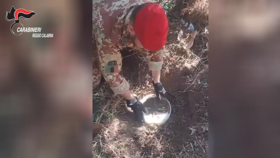 Aveva sotterrato decine di chili di stupefacente nelle campagne: un arresto a Gioiosa Ionica