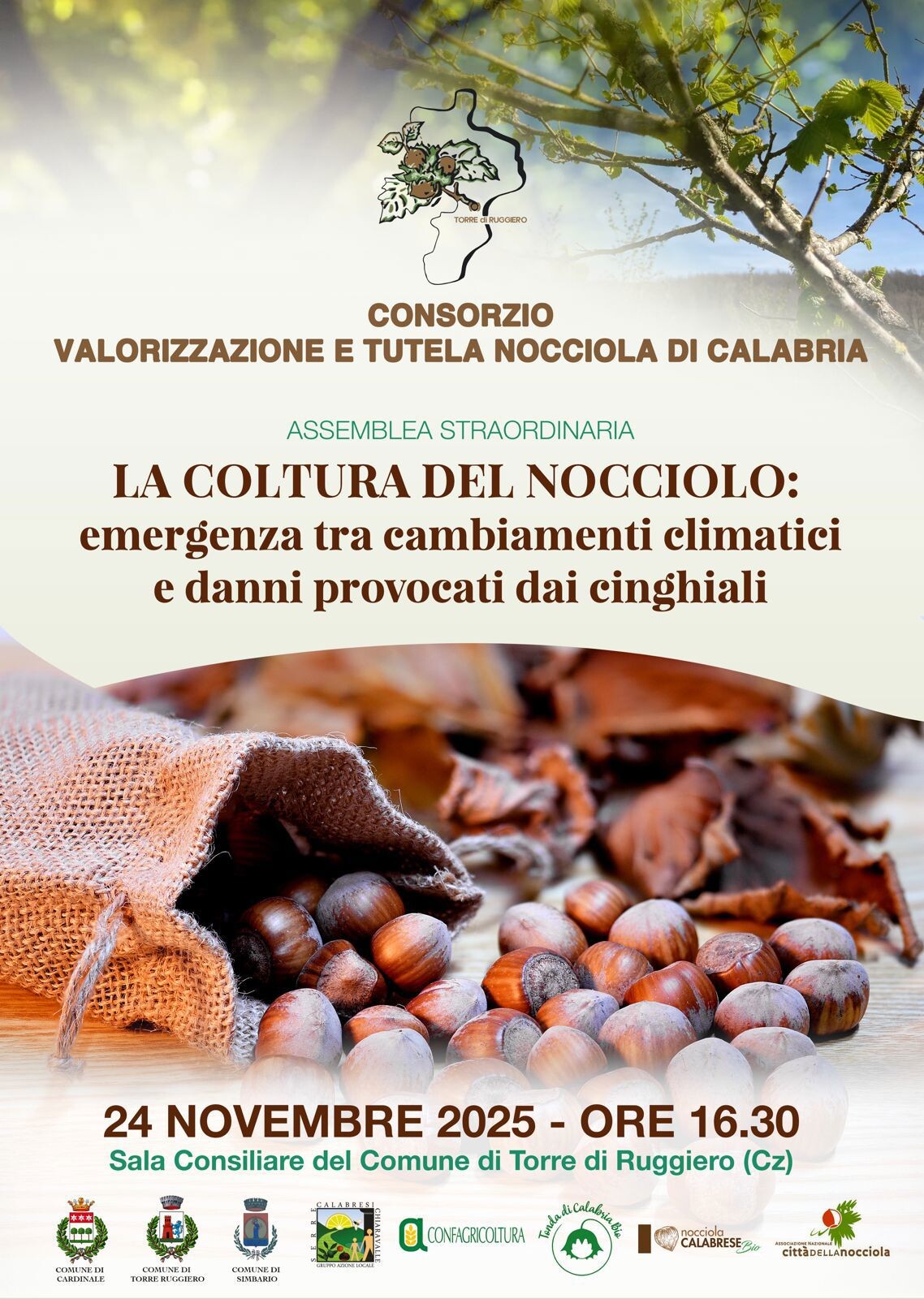 images Settore corilicolo in crisi, convocata l’assemblea straordinaria del Consorzio Valorizzazione e Tutela Nocciola di Calabria