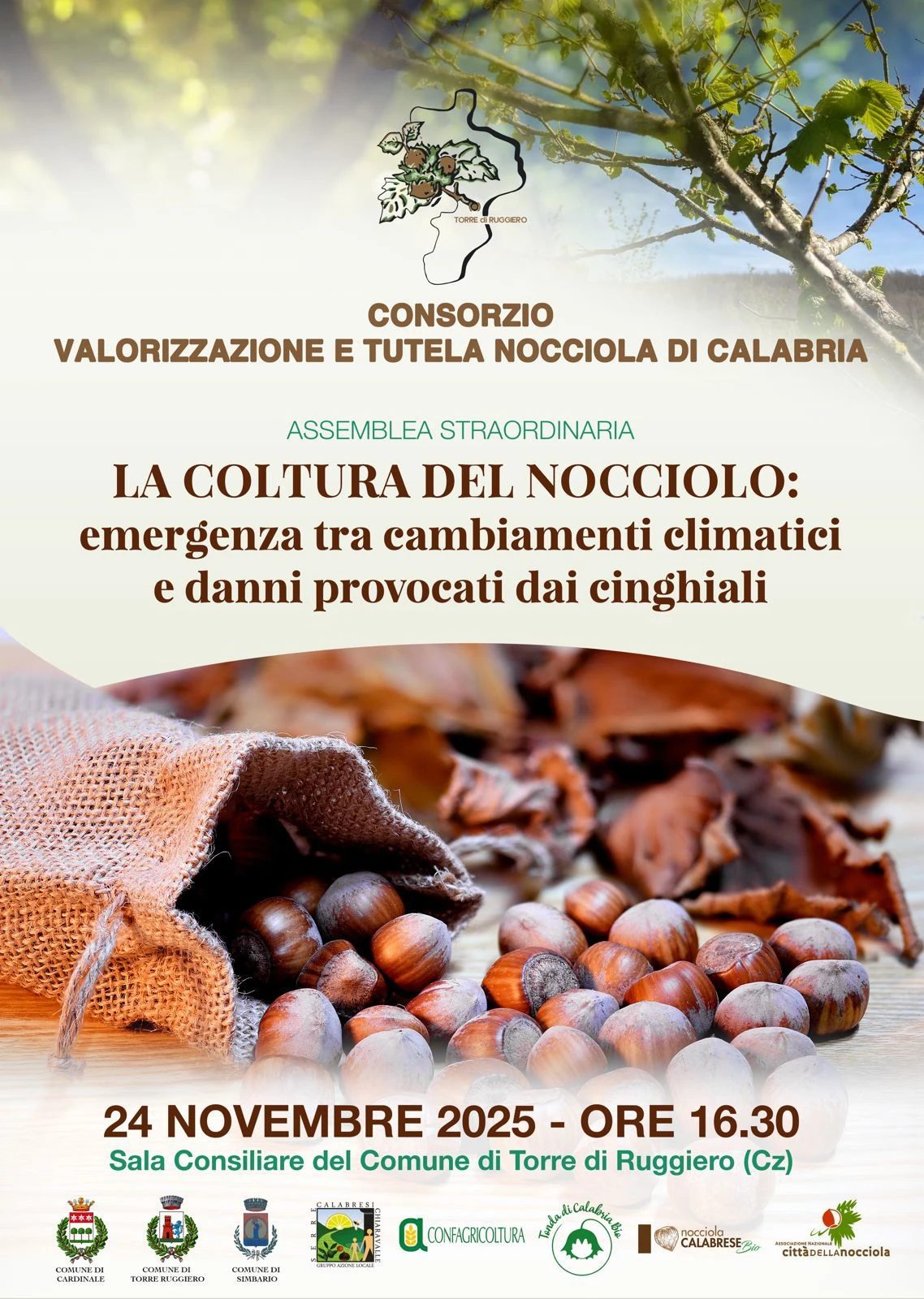 Settore corilicolo in crisi, convocata l’assemblea straordinaria del Consorzio Valorizzazione e Tutela Nocciola di Calabria
