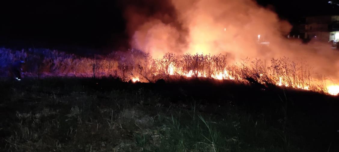 images Catanzaro, brucia la collina di Germaneto