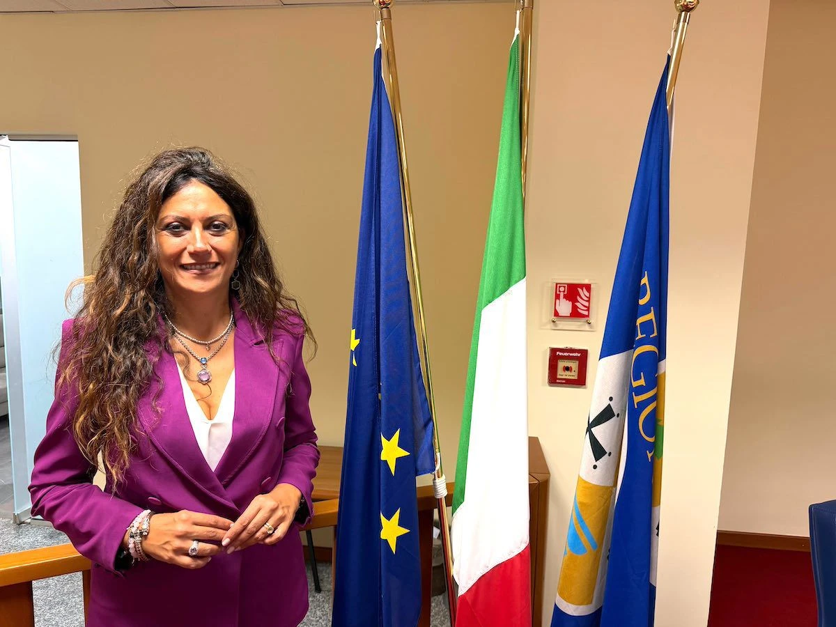 Sanità in Calabria, proposta di legge per rafforzare sei ospedali nelle aree interne