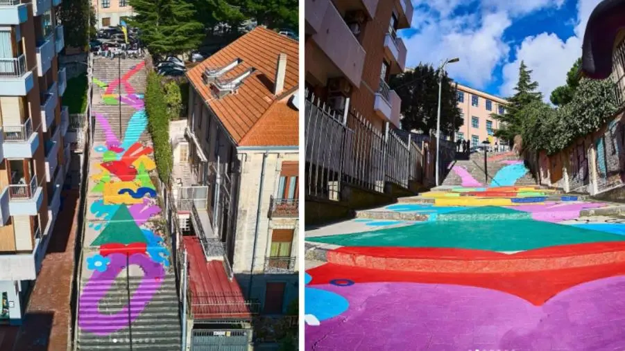 Catanzaro protagonista al celebre festival della street art di Camara De Lobos  images Catanzaro protagonista al celebre festival della street art di Camara De Lobos