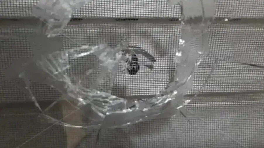 Paura a Catanzaro, in Viale Isonzo si spara ancora: donna si abbassa per pregare e sfugge al colpo images Paura a Catanzaro, in Viale Isonzo si spara ancora: donna si abbassa per pregare e sfugge al colpo