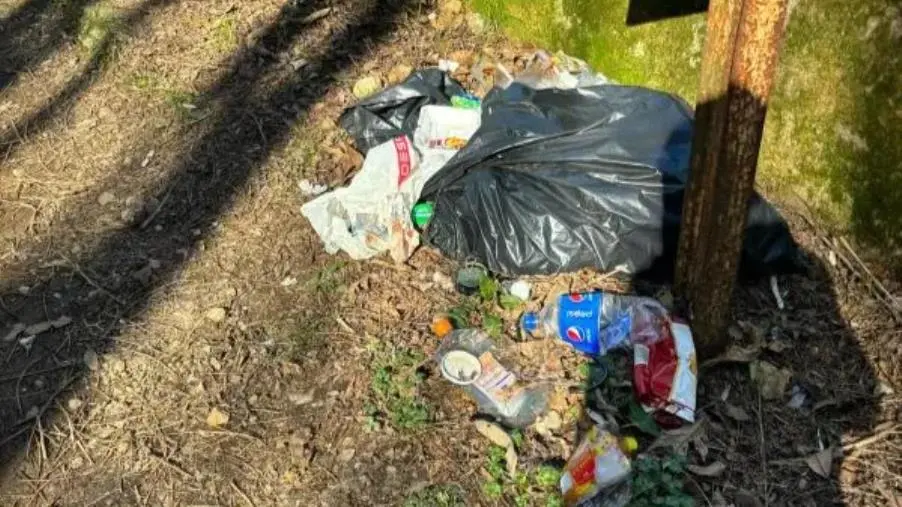 Strade e fontane sporche, il PD di Fagnano Castello chiede all'amministrazione un "cambio di passo" images Strade e fontane sporche, il PD di Fagnano Castello chiede all'amministrazione un "cambio di passo"