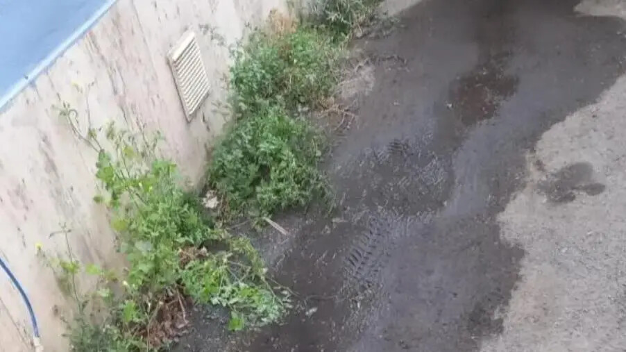 images Alleanza per Catanzaro: "In via Reggio Calabria la strada è invasa dalla fogna e il sindaco dorme"   