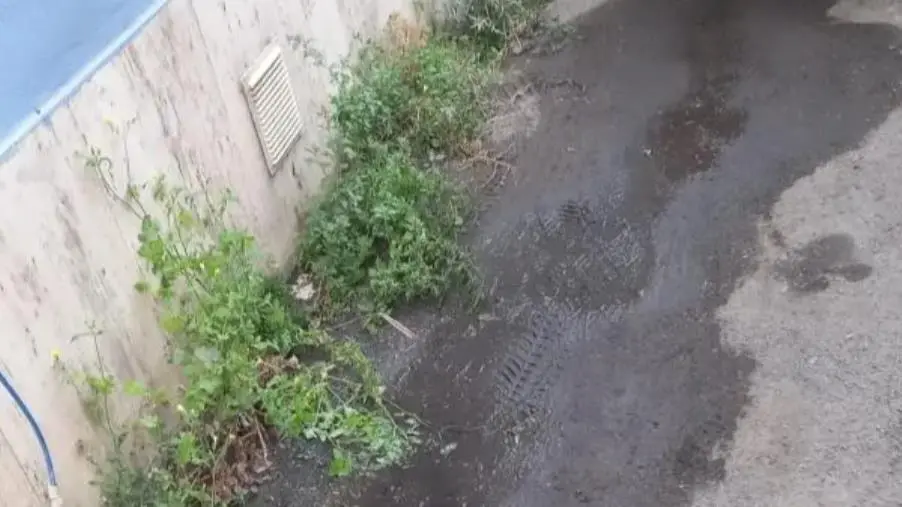 images Alleanza per Catanzaro: "In via Reggio Calabria la strada è invasa dalla fogna e il sindaco dorme"   