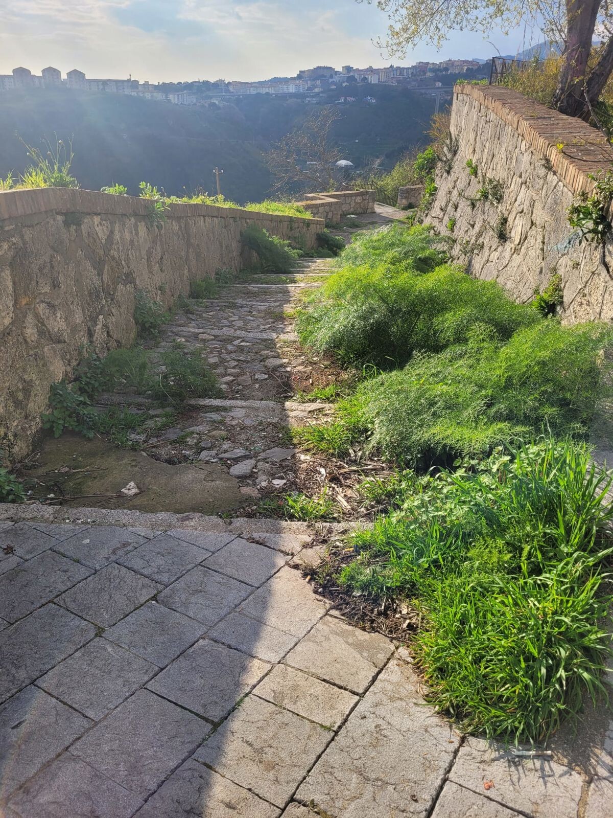 images Catanzaro, una cittadina: "Bene la Metropolitana ma la stazione di Pratica ha bisogno di attenzione"