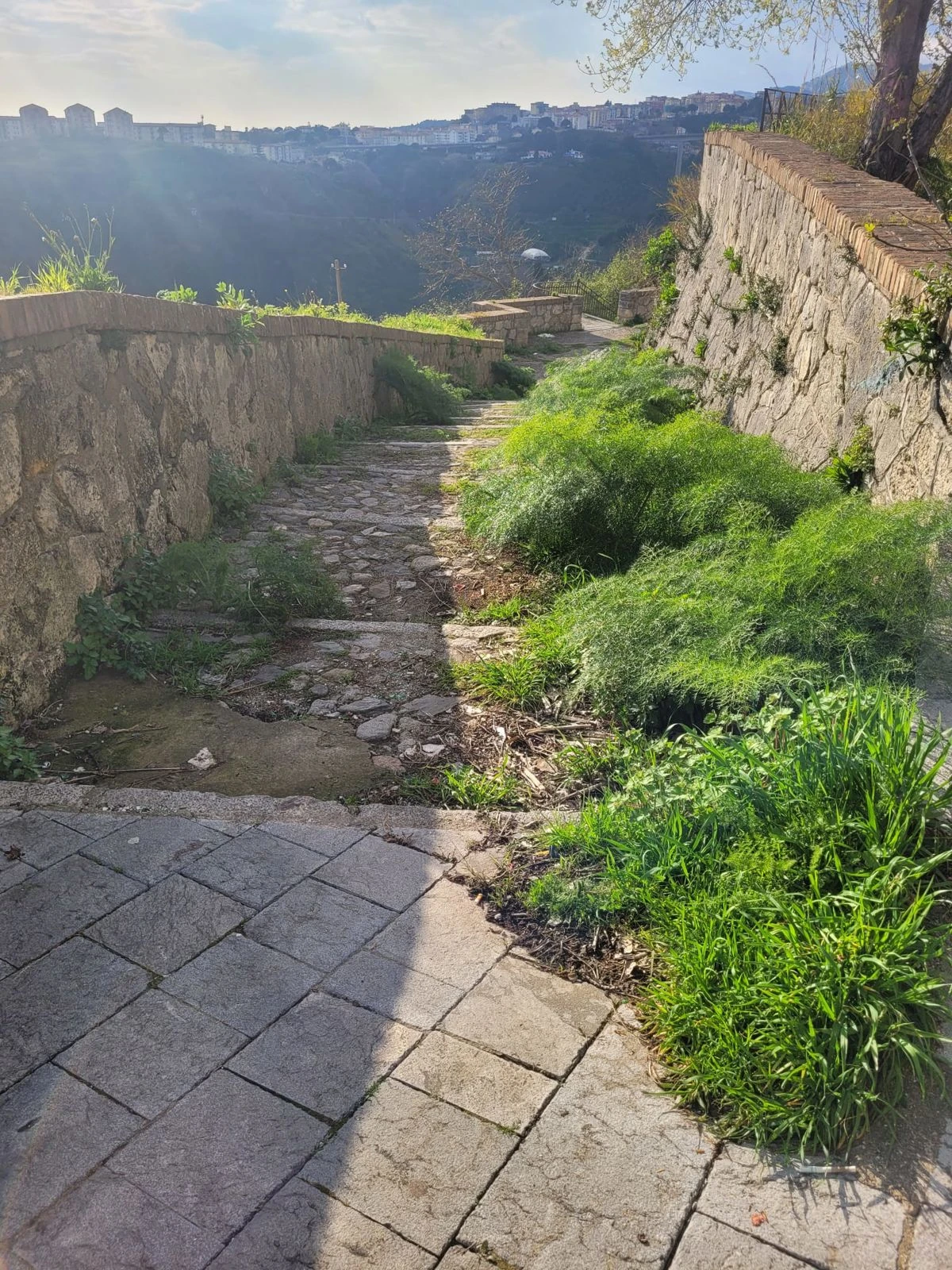 Catanzaro, una cittadina: "Bene la Metropolitana ma la stazione di Pratica ha bisogno di attenzione"