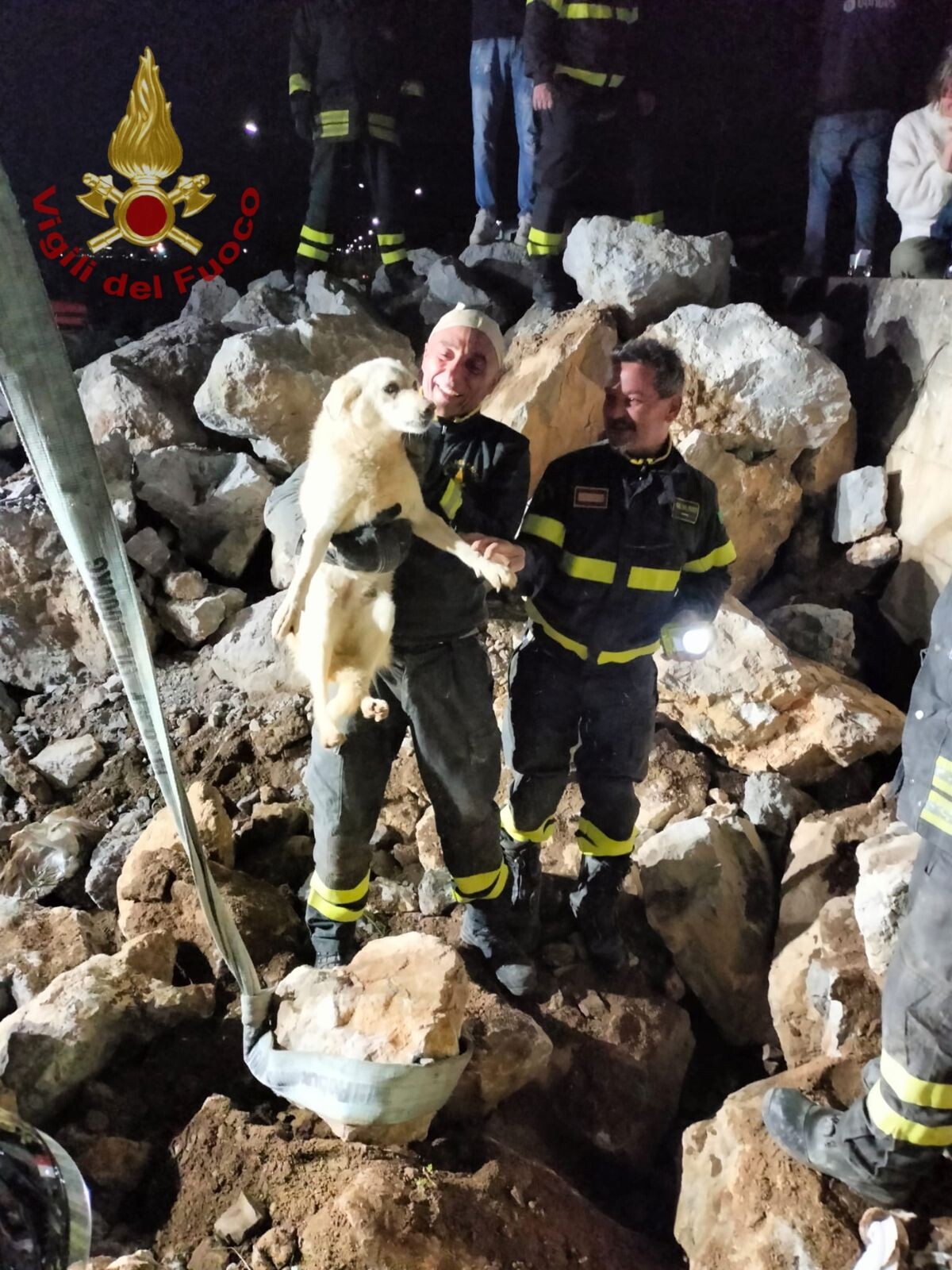 images I vigili del fuoco salvano un cane a Schiavonea 