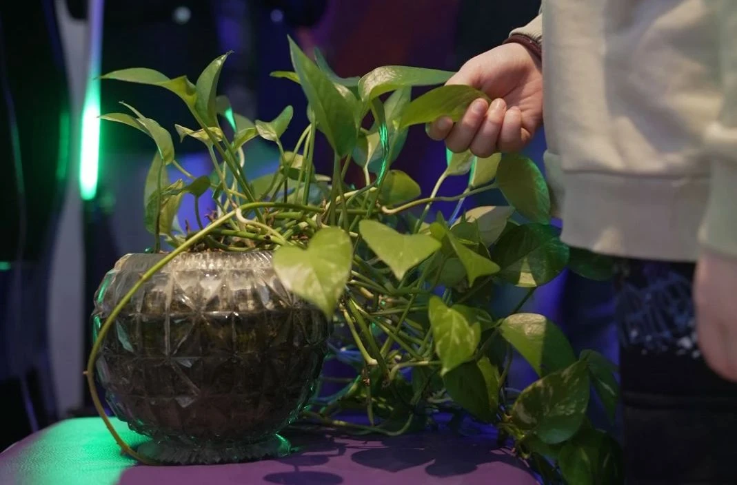 Catanzaro, al Museo del Rock l’incontro “Dove crescono i germogli”