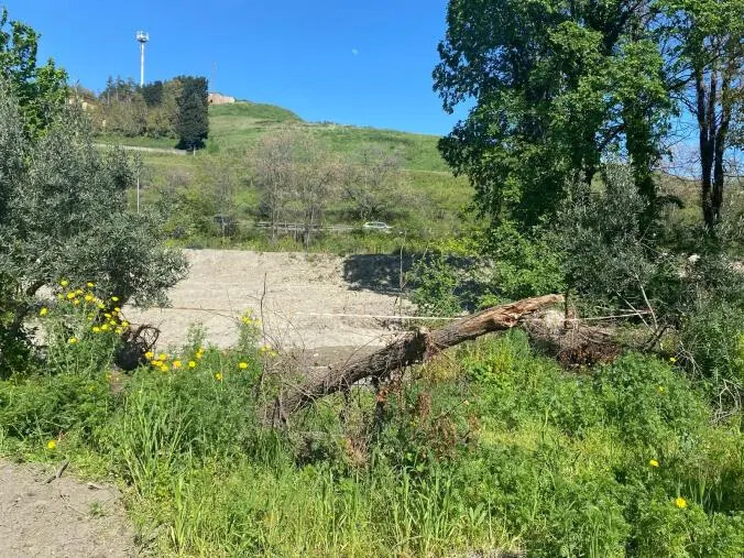 images Catanzaro, da giorni una perdita nella condotta idrica: il Comune lo sa, ma nessuno interviene
