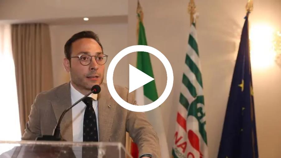 images Cisl Magna Graecia Catanzaro-Crotone-Vibo Valentia, è Daniele Gualtieri il nuovo segretario generale
