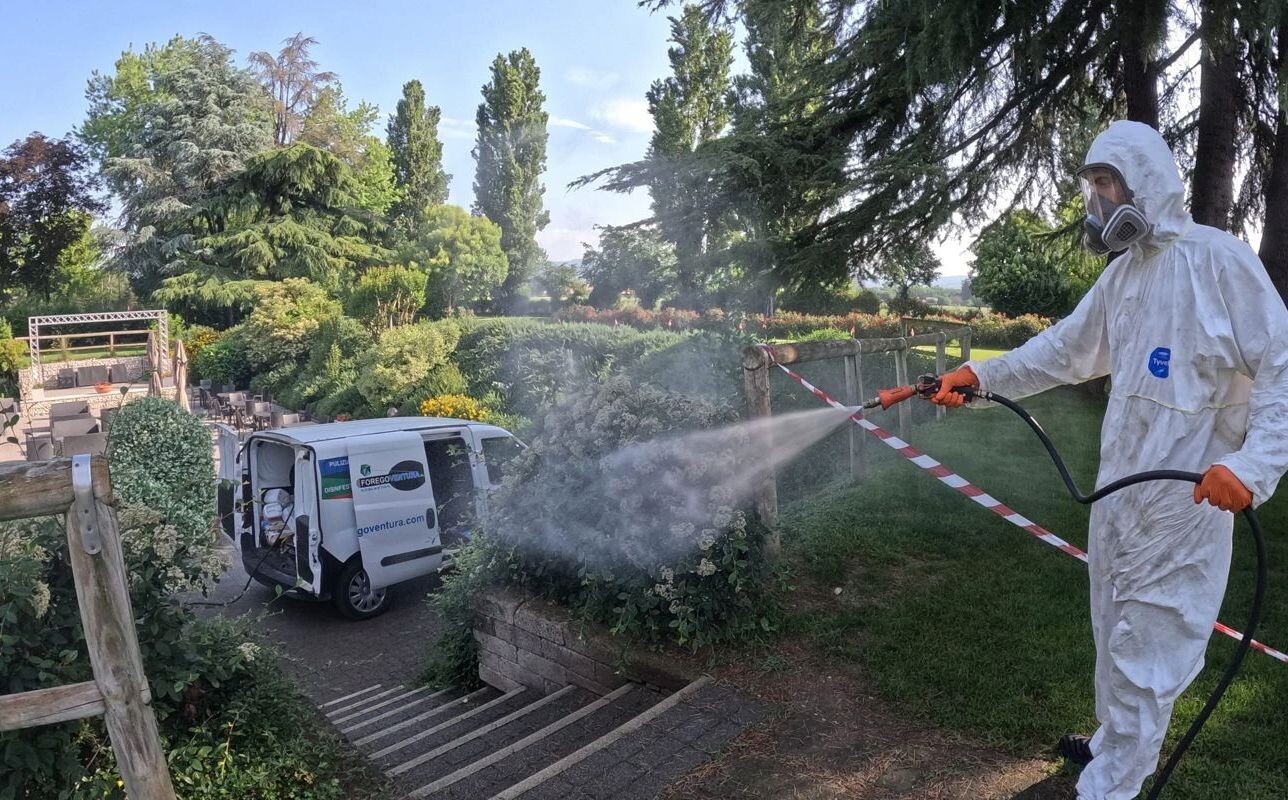 images Catanzaro, avviata disinfestazione contro le zanzare per la prevenzione del virus West Nile