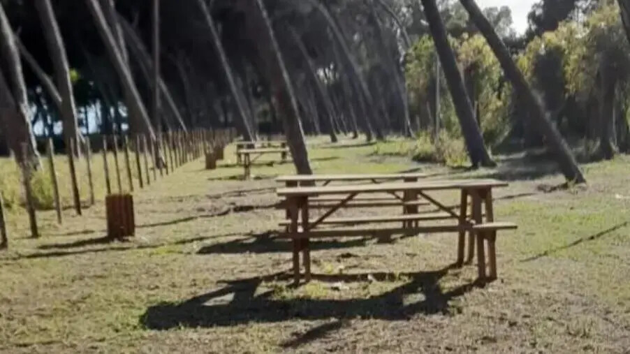 images Simeri Crichi, Zicchinella: "Un uovo di Pasqua di 460 mila euro"