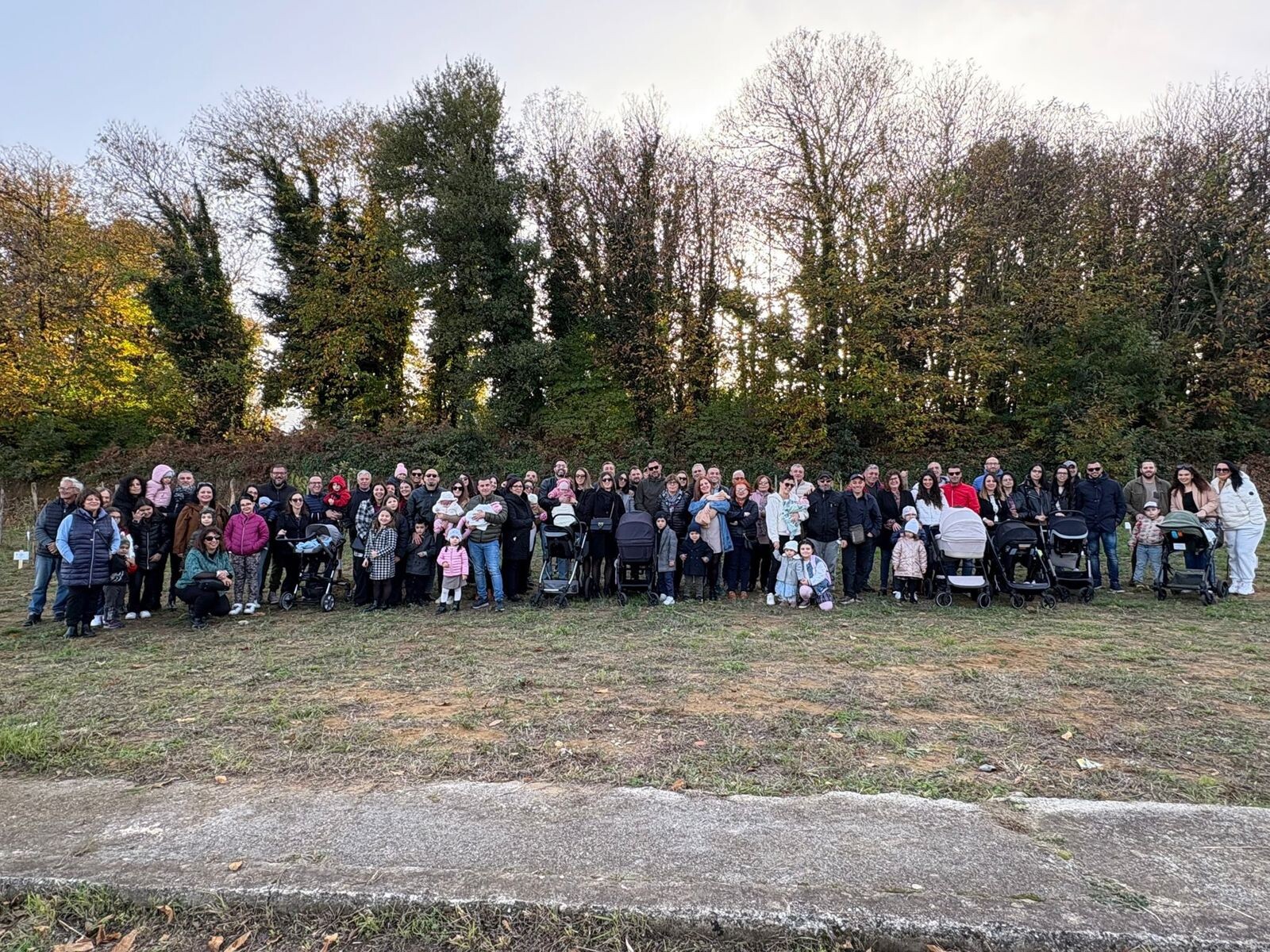 Girifalco, il Comune celebra la vita e onora i nuovi nati con "L'Albero della Vita" images Girifalco, il Comune celebra la vita e onora i nuovi nati con "L'Albero della Vita"