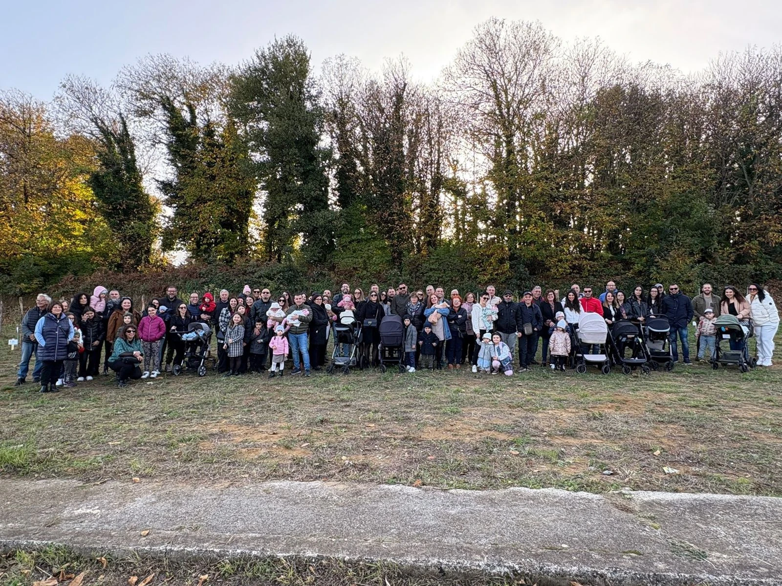 Girifalco, il Comune celebra la vita e onora i nuovi nati con "L'Albero della Vita"