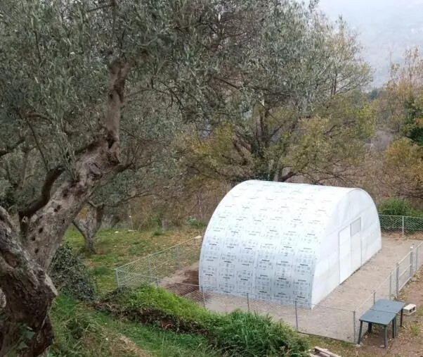 images L’agricoltura per l'inclusione socio-lavorativa con il progetto del Centro Calabrese di solidarietà Ets “Sgusciat?”

&nbsp;