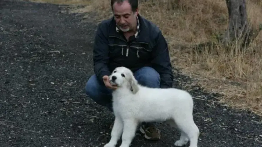 images Tragedia a Catanzaro: Antonio Loprete muore mentre passeggia al Parco della Biodiversità