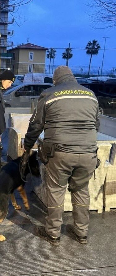 Sicurezza dei locali notturni, sanzionata una discoteca nel lametino images Sicurezza dei locali notturni, sanzionata una discoteca nel lametino