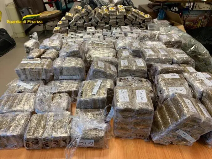 images Traffico internazionale di droga, 30 misure cautelari anche in Calabria