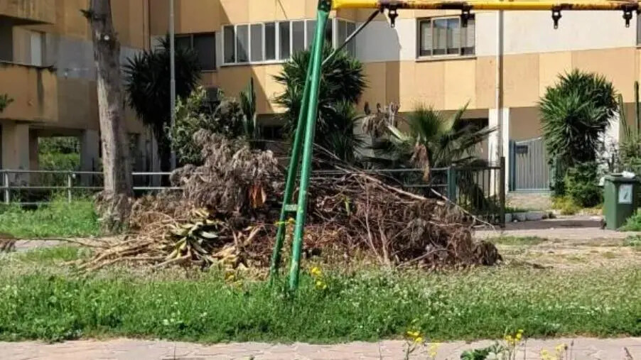 images Catanzaro, Riccio: "Il parco comunale in via Forni trasformato in una discarica" 
