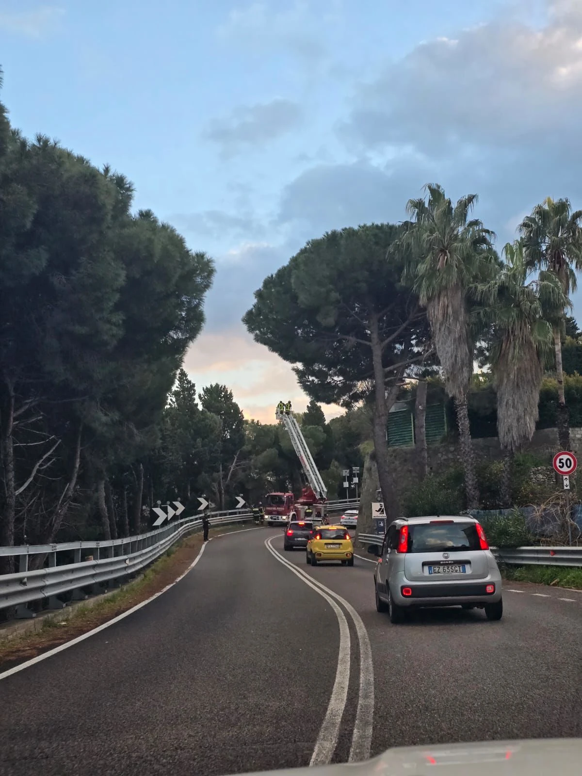 Stalettì, alberi caduti sulla carreggiata: disagi per gli automobilisti "costretti" su una unica corsia