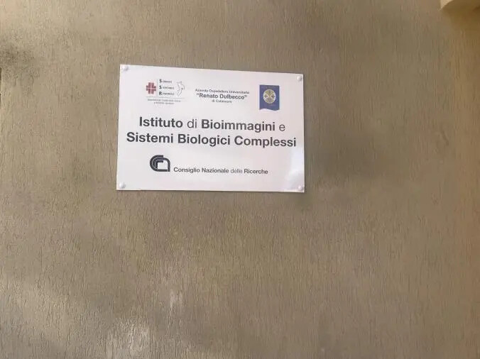 Istituto di Bioimmagini con risonanza 3 Tesla a Villa Bianca: i dettagli forniti dall'Aou Dulbecco images Istituto di Bioimmagini con risonanza 3 Tesla a Villa Bianca: i dettagli forniti dall'Aou Dulbecco